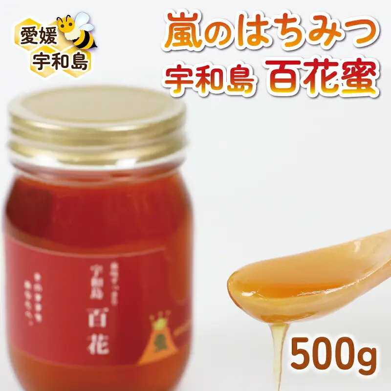国産蜂蜜 500g みつばち屋嵐 国産蜂蜜 F010-129002