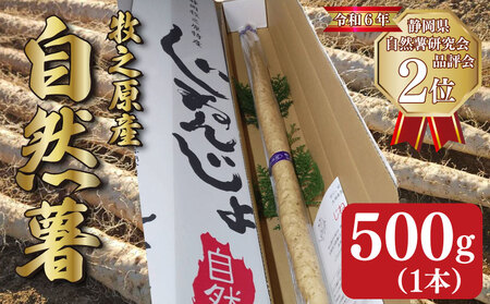 【予約受付】 自然薯 500g じねんじょ 山芋 ヤマイモ 山いも とろろ とろろ汁 国産 滋養強壮 強壮 とろろご飯 ご飯のお供 美味しい おいしい 自宅用 家庭用 贈答用 贈答 贈り物 ギフト やまあい農園 静岡県 牧之原市