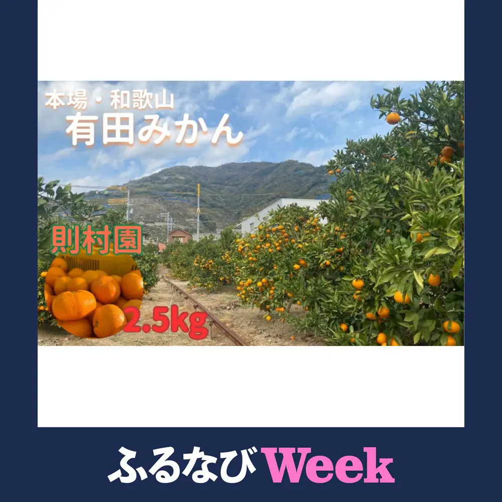 【ふるなびWEEK対象】則村園産 有田みかん 2.5kg 温州みかん みかん 蜜柑 甘い 甘いみかん 有田 有田川町 和歌山