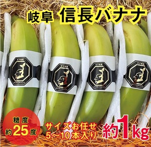 1041 天下布武信長バナナ　約1kg　サイズお任せ　国産　糖度25度前後　無農薬　無添加