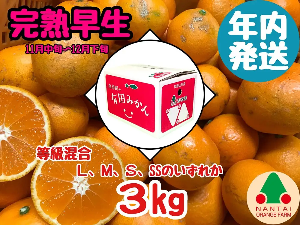 年内発送 等級混合 完熟早生 有田 みかん L ～ SS サイズ 3kg 南泰園 和歌山 有田みかん