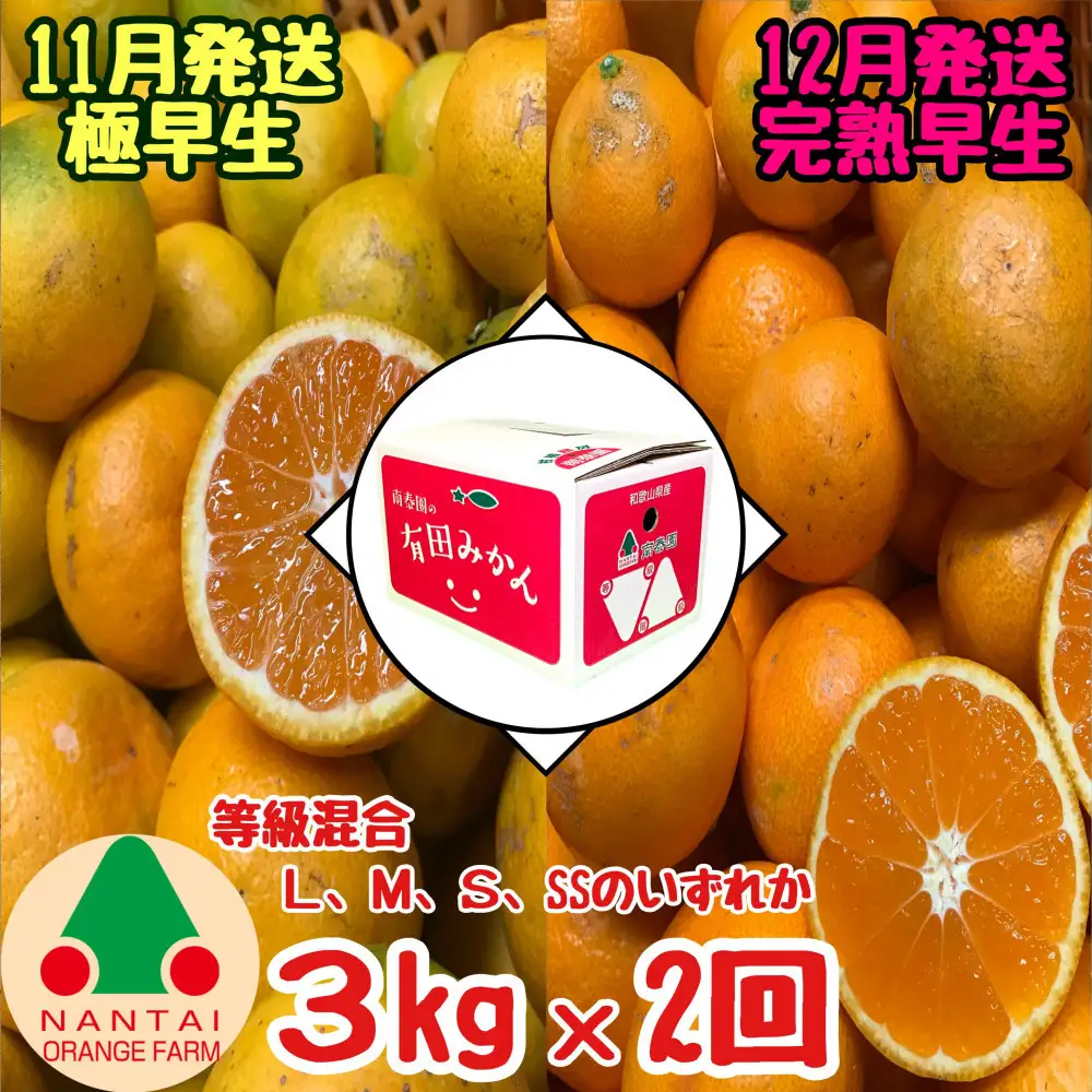 定期便 11・12月発送 有田みかん 2種 食べくらべ 極早生 ＆ 完熟早生 3kg 和歌山 みかん 南泰園 全2回