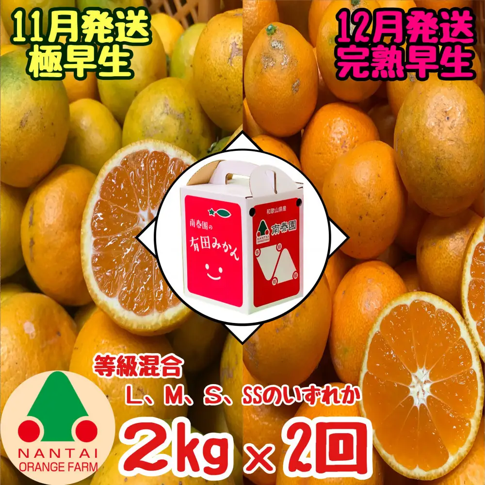 定期便 11・12月発送 有田みかん 2種 食べくらべ 極早生 ＆ 完熟早生 2kg 和歌山 みかん 南泰園 全2回