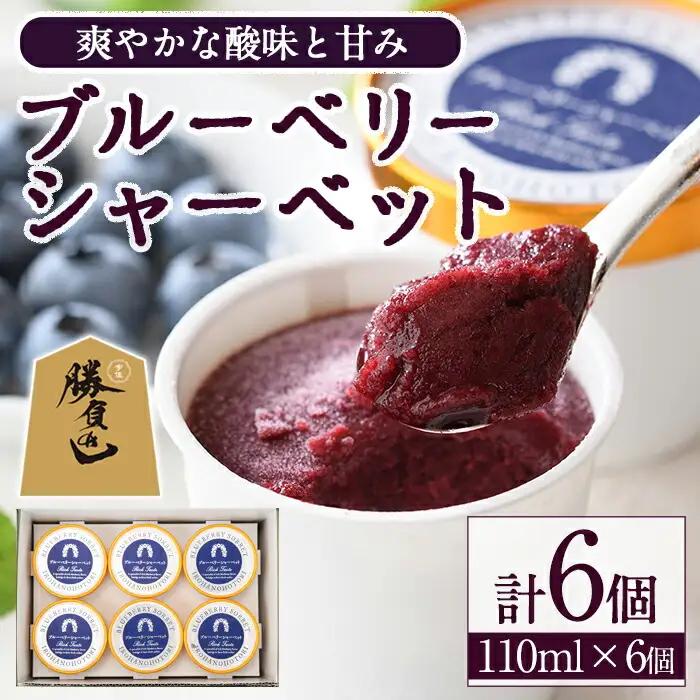 ブルーベリーシャーベット(計660ml・110ml×6個) シャーベット アイスクリーム ソルベ フルーツ ブルーベリー 果物 スイーツ デザート おやつ 勝負めし 【116500300】【藍苺GARDEN イロハノホトリ】