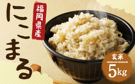 【栽培期間中肥料・農薬不使用】にこまる 玄米 5kg 福岡県産 うるち米 お米 【2025年11月上旬より順次発送予定】