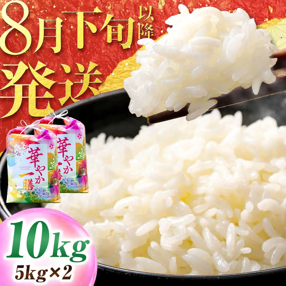 【 先行予約 /8月下旬以降配送】【令和7年度産】【農家直送】 ハナエチゼン 5kg×2袋　 白米 お米 小浜市 / 永耕農産[BFBD010]