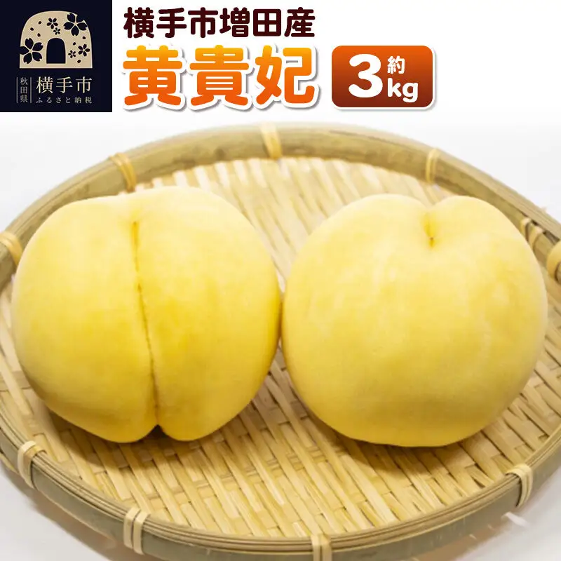 【先行受付】9月上旬より発送 横手市増田産の桃（黄貴妃）約3kg