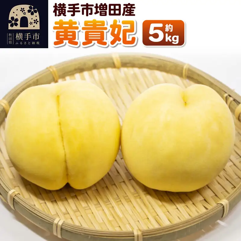 【先行受付】9月上旬より発送 横手市増田産の桃（黄貴妃）約5kg