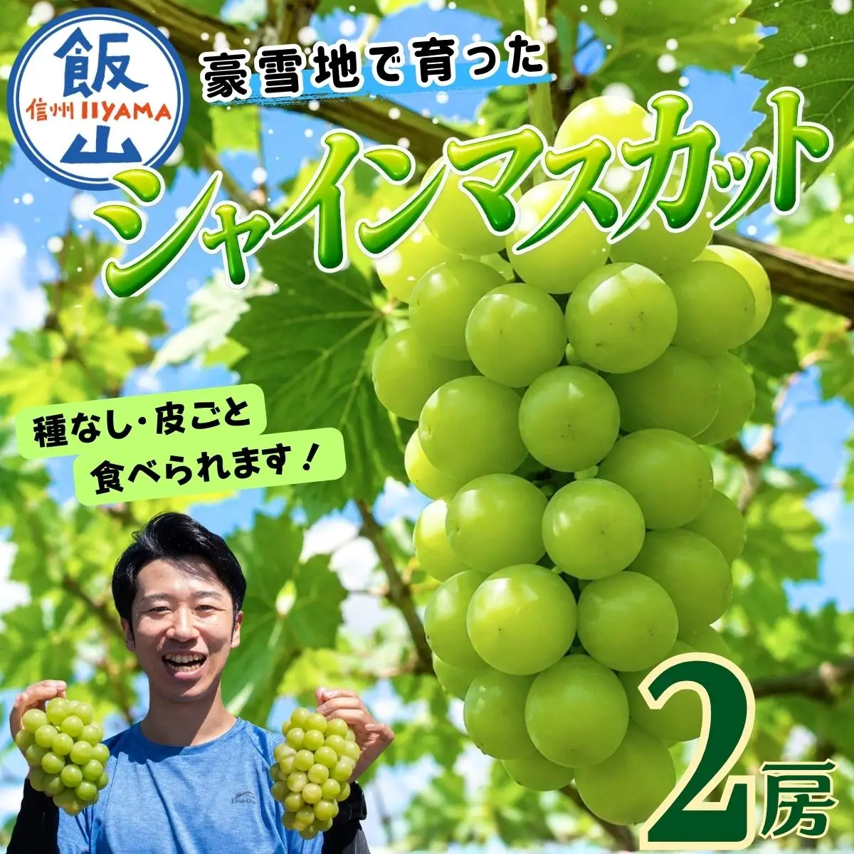 【2026年】贈答用 シャインマスカット 2房（約1kg以上）