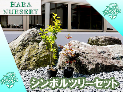 BS180_シンボルツリーセット 花 苗 植物 家庭菜園 花壇 プランター ガーデニング
