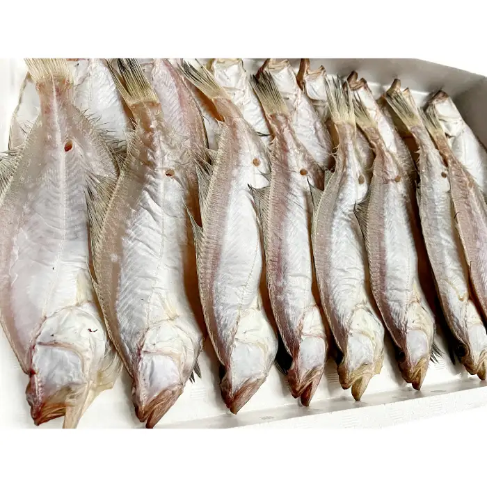 水揚げ直後！干しカレイ(６枚入り)【干物 カレイ かれい 6枚 魚 さかな 旬 エテカレイ 干しカレイ 国産 無添加 水揚げ直後 冷蔵 ノンフローズン 季節限定 大田市】
