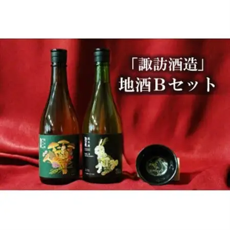 諏訪酒造　地酒Bセット【1485115】