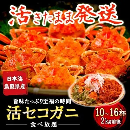 【新物とれたて】せこがに セイコガニ 活生 姿 約2kg 10～16枚 松葉ガニのメス 鳥取県【配送不可地域：離島・北海道・沖縄県・東北・信越、北陸】【1609698】