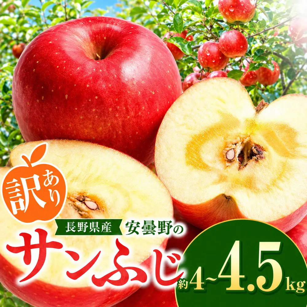 【2026年先行予約】訳あり サンふじ 4~4.5kg ｜ 東印平林農園 エコファーマー認定 