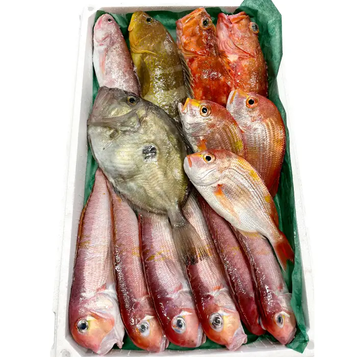 旬の鮮魚ＢＯＸお任せセット（梅）【鮮魚 約5kg 冷蔵 旬 魚 さかな 天然 天然魚 新鮮 地魚 産地直送 水揚げ次第発送 おまかせ セット 詰め合わせ お取り寄せ 大田市 和江漁港】