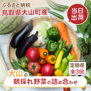 MS-04　新鮮朝採れ野菜セット 頒布会（計3回）