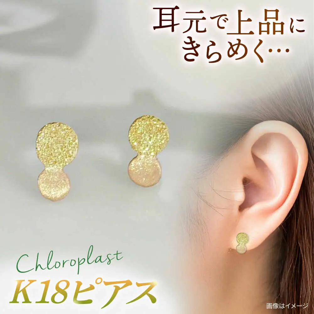 K18 まる ピアス ダイヤタガネ 糸島市 / Chloroplast / クロロプラスト ジュエリー [ALF013]