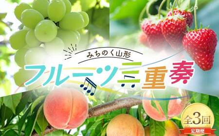 《2026年度先行予約》みちのく山形 フルーツ三重奏 ?桃・シャインマスカット・いちご? 全3回定期便 FSY-2511