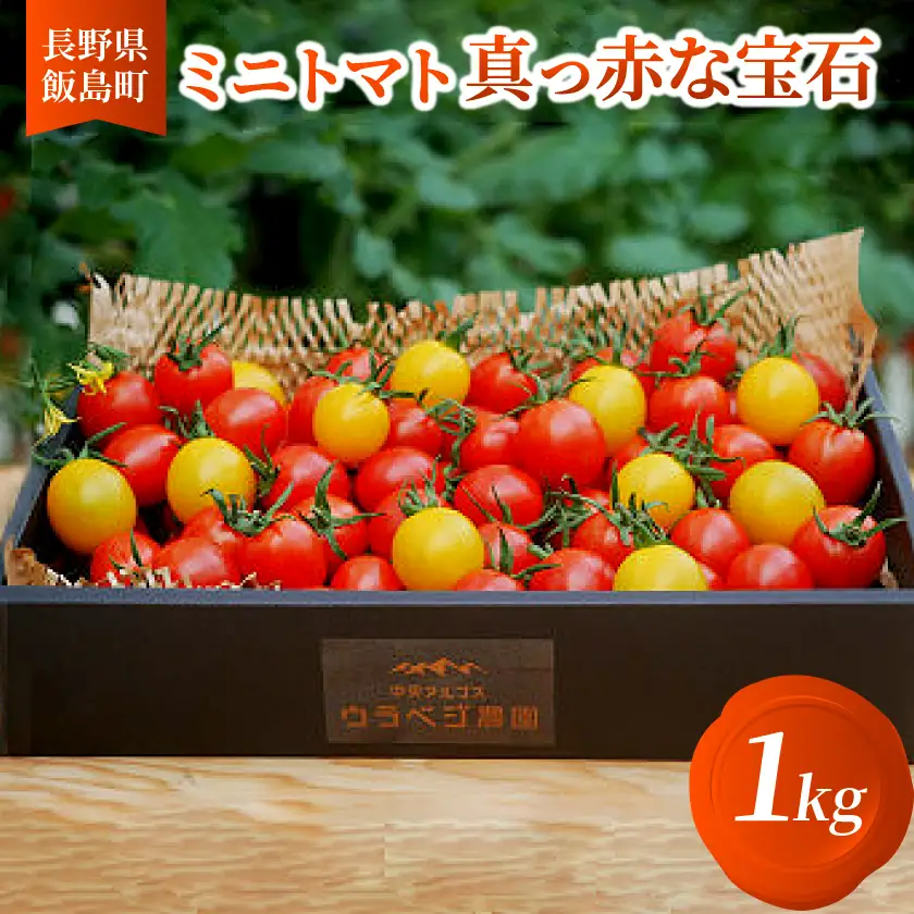ミニトマト ～真っ赤な宝石1kg～　6月下旬～9月まで順次発送します。【配送不可地域：離島】【1594447】