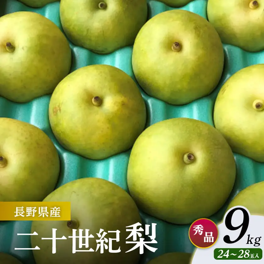 二十世紀梨 9kg(秀24～28玉)【1615462】