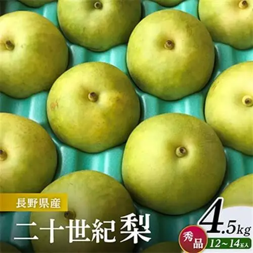 二十世紀梨 4.5kg(秀12～14玉)【1615466】