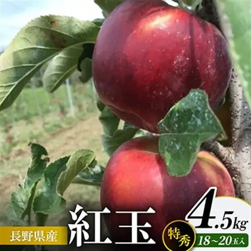 紅玉 4.5kg(特秀18～20玉)【1615515】