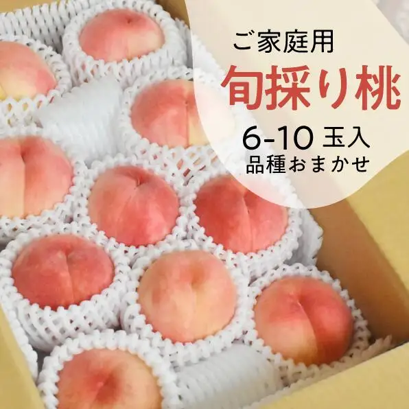旬採り桃(品種おまかせ) ご家庭用 6-10玉 (岡山県産) もも 真庭市 【KF-A018-04】