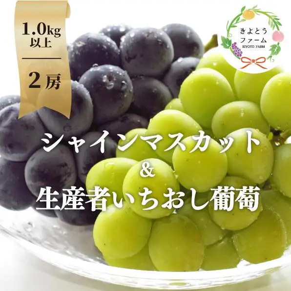 シャインマスカット 岡山県産シャインマスカット＆生産者いちおしぶどう2房入計1.0kg～ 【KF-B010-04】