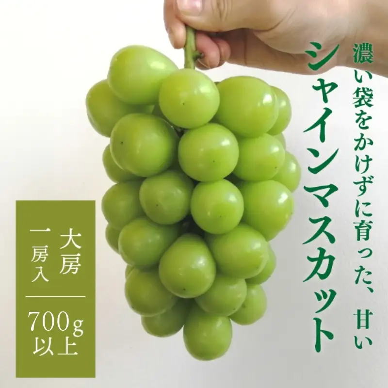 大粒シャインマスカット 厳選品1房 700g以上 (岡山県産)【KF-B013-03】