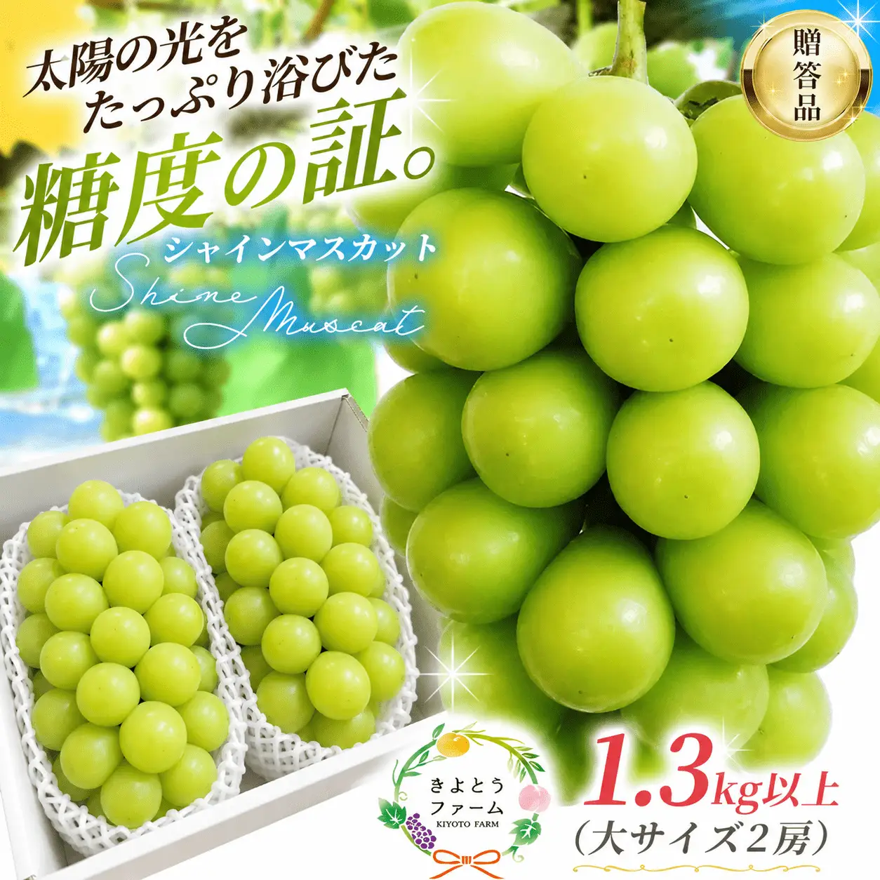シャインマスカット 岡山県産特大シャインマスカット２房入/計1.3kg～ 【KF-B014-03】
