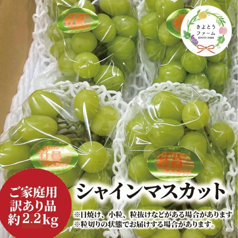 訳あり 岡山県産訳ありシャインマスカット約2.2kg 【KF-B015-04】