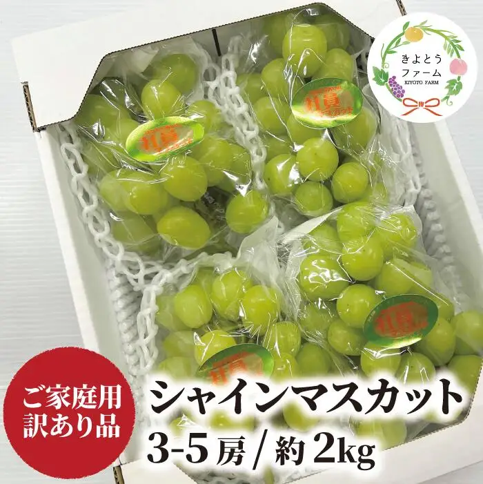 訳あり 岡山県産訳ありシャインマスカット約2.0kg～ 【KF-B020-03】