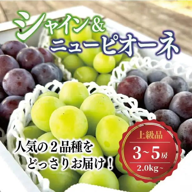 ぶどう 岡山県産シャインマスカットとニューピオーネのぶどうセット3-5房計2.0kg～ 【KF-B070-03】