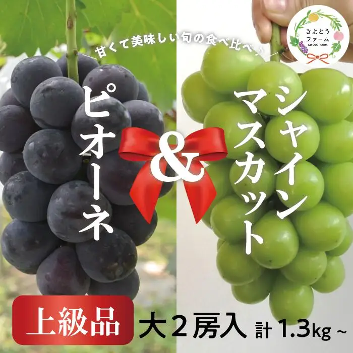 ピオーネ シャインマスカット 岡山県産ぶどう 上級シャインマスカット＆ピオーネ食べ比べ特大2房計1.3kg～ 【KF-B087-02】