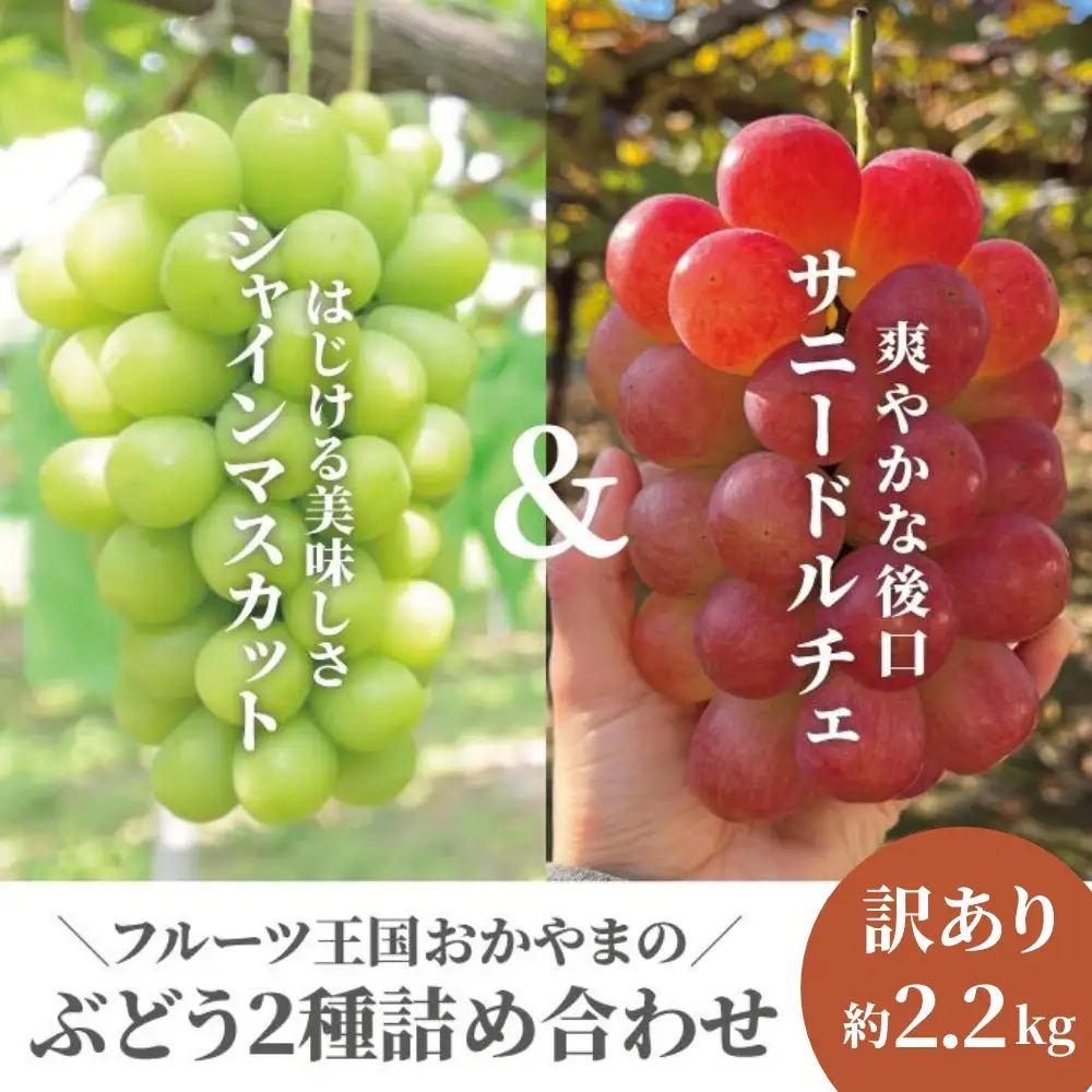 【きよとうファーム】訳あり品 シャインマスカット＆サニードルチェ/約2.2kg~ (岡山県産)【KF-B089-03】