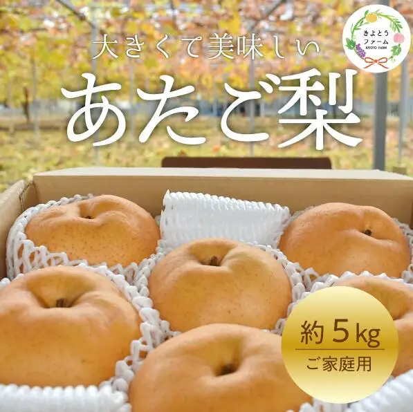 あたご梨 ご家庭用 / 約5kg (岡山県産)  和梨 【KF-C008-03】