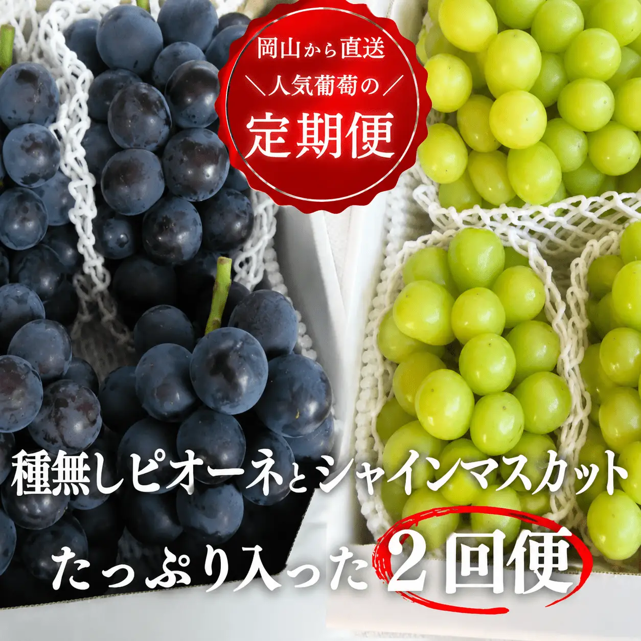 ピオーネとシャインマスカット、たっぷり2kgの2回便！(定期便) (岡山県産)【KF-T005-04】