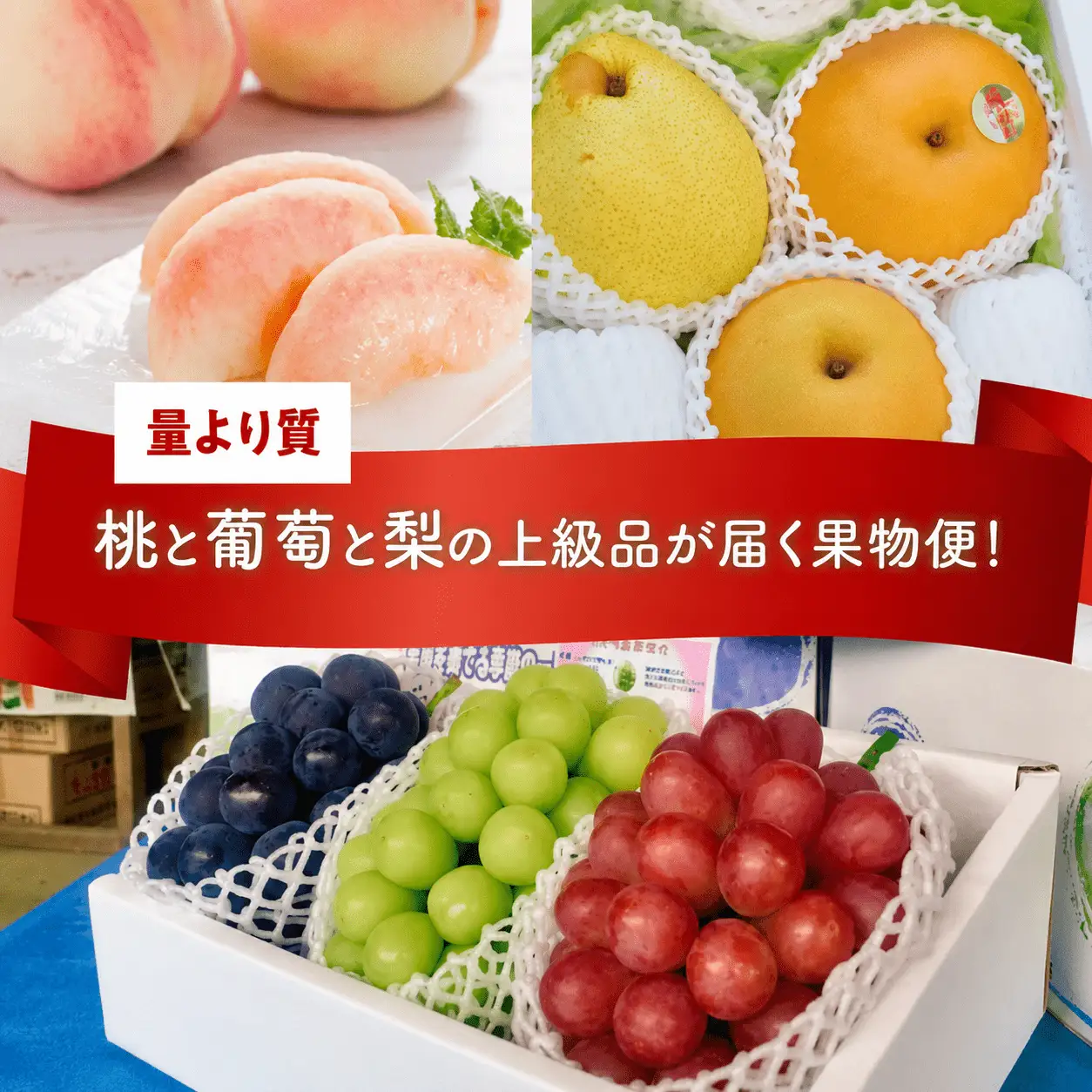 量より質！桃と葡萄と梨の上級品が届く岡山果物便！３回便(定期便) (岡山県産) 【KF-T024-04】