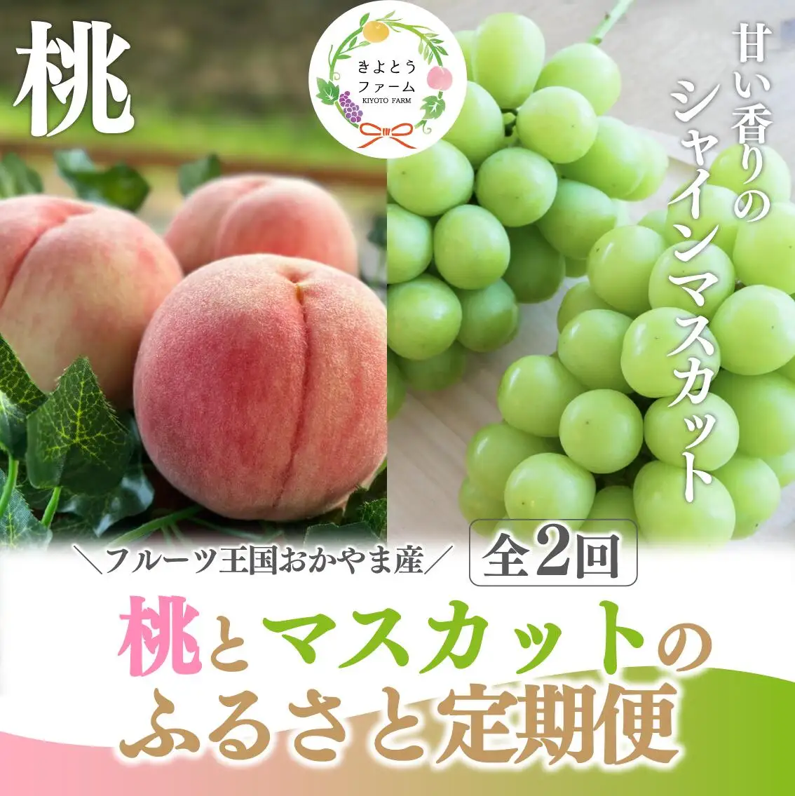 【２回定期便】 フルーツ 岡山県産桃＆シャインマスカットフルーツ 【KF-T048-04】 26,640円