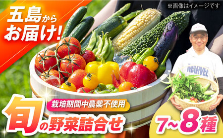 【一人暮らしに】自然栽培・旬の野菜詰め合わせ 五島市/ぷらっと農園 [PDS005]