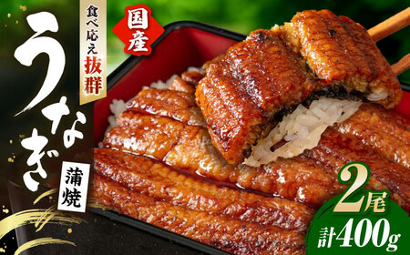 国産 うなぎ 蒲焼き 2尾 計約400g 鰻 ウナギ[AQDF007]
