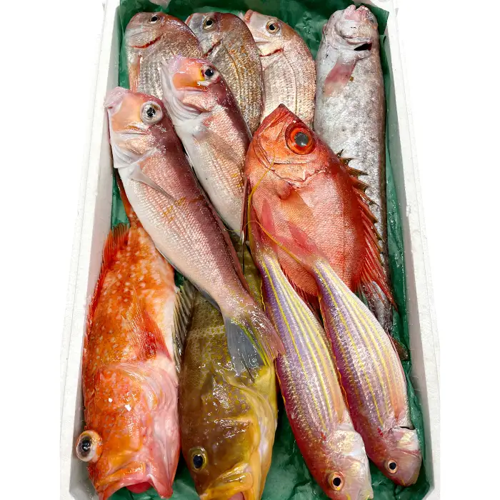旬の鮮魚ＢＯＸお任せセット（竹）【鮮魚 約5kg 冷蔵 旬 魚 さかな 天然 天然魚 新鮮 地魚 産地直送 水揚げ次第発送 おまかせ セット 詰め合わせ お取り寄せ 大田市 和江漁港】