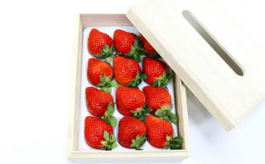 ティッシュボックス用 特別仕様の桐箱入り プレミアム あまおう 約400g×1パック【ギフト・お祝い・贈答用】【2027年2月上旬～4月上旬発送予定】