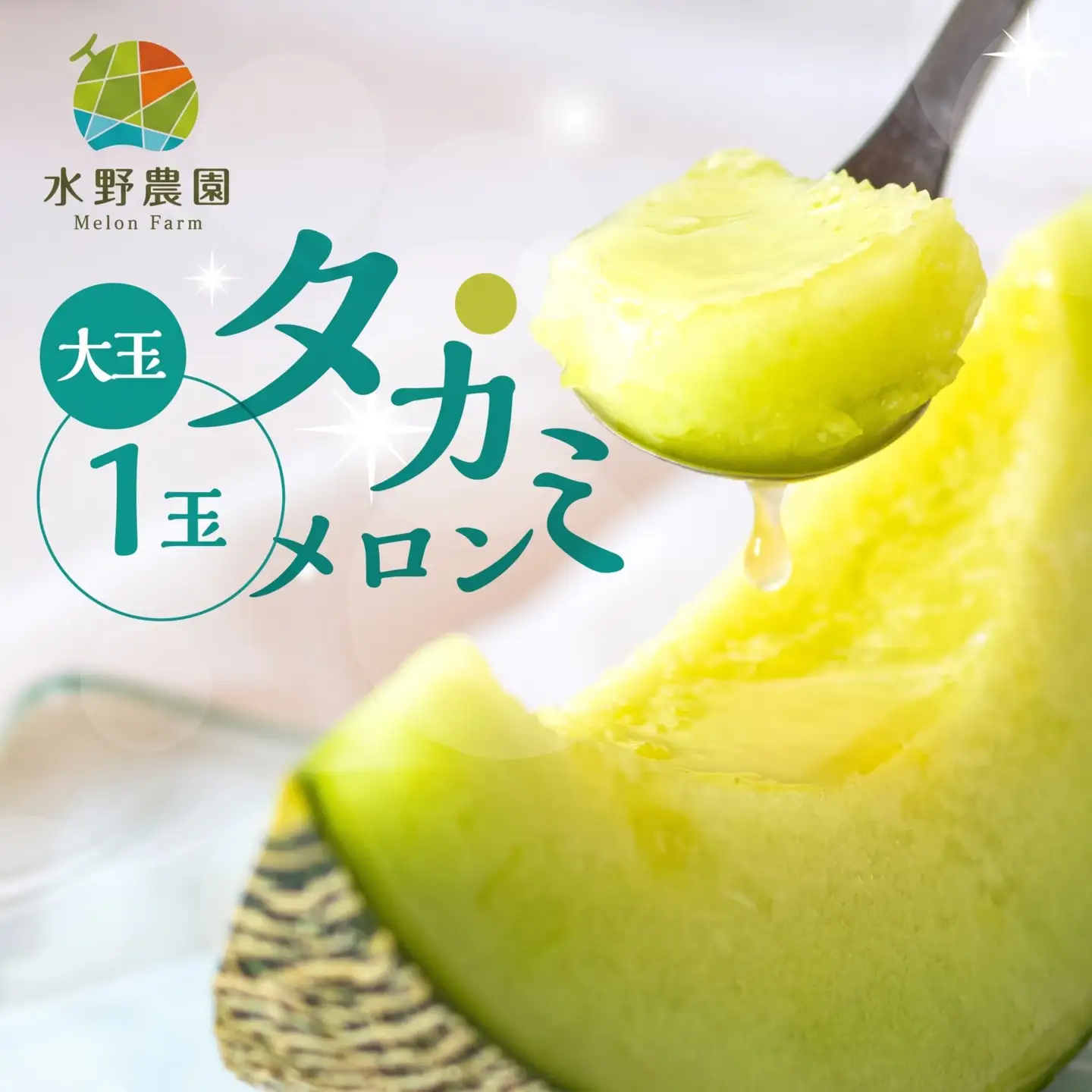 【先行予約】2027年7月お届け タカミメロン 大玉１玉 メロン 水野農園
