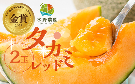 【先行予約】2027年6月お届け タカミレッド ２玉 水野農園 メロン