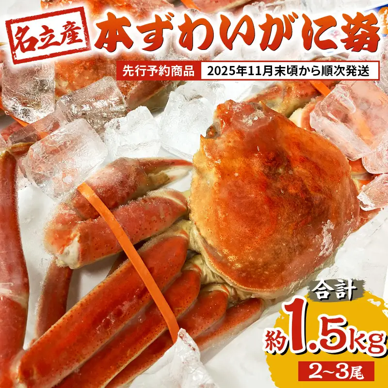 名立産 本ずわいがに姿 2~3尾 名立産ずわいがに 約1.5kg