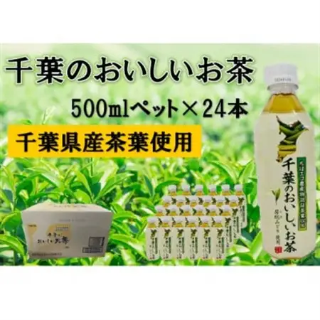 房総のおいしいお茶　500ml×24本(1ケース)　【千葉県長柄町】【1561605】