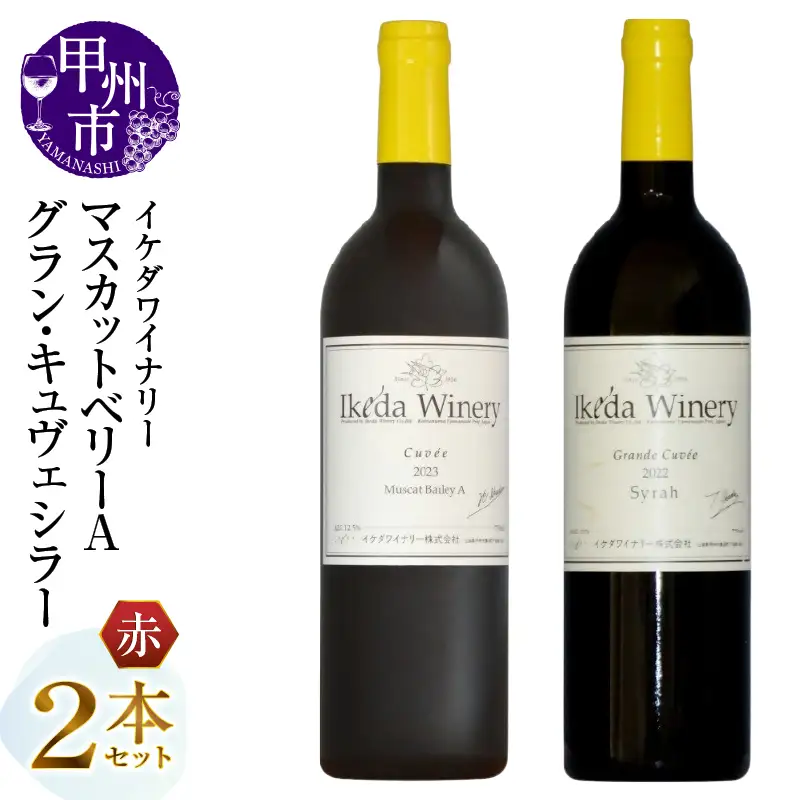 イケダワイナリー 2本セット【マスカットベリーA / グラン・キュヴェ シラー】（MG）B18-665【ワイン イケダワイナリー 赤ワイン 甲州市 山梨県】