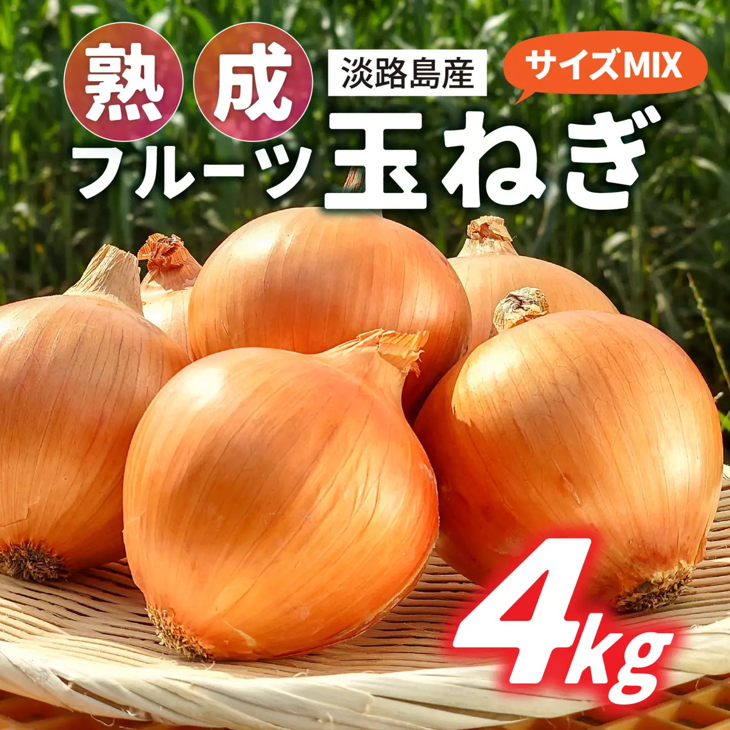 淡路島産 熟成フルーツ玉ねぎ 4kg【サイズ色々】 / 玉ねぎ