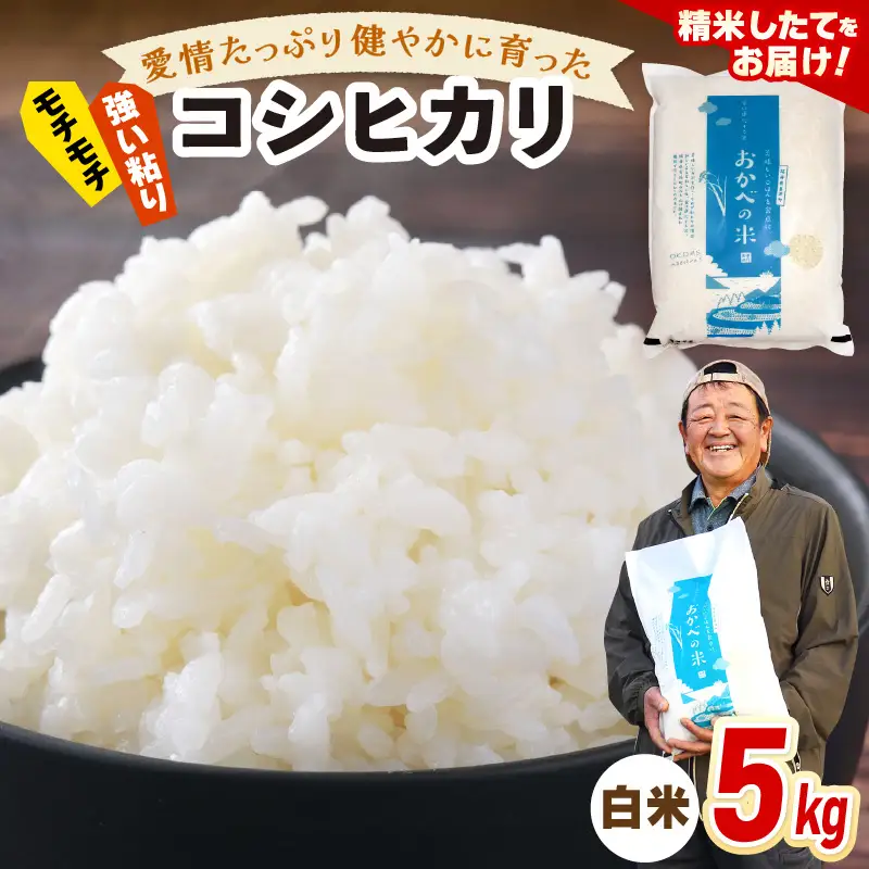 令和8年産 愛情たっぷり健やかに育った もちもち 甘い コシヒカリ（白米）5kg【新米 米】 [m29-a030]